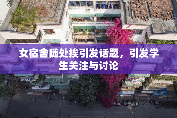 女宿舍随处挨引发话题，引发学生关注与讨论
