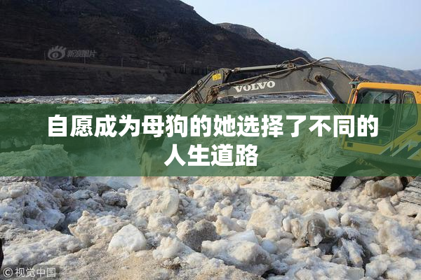 自愿成为母狗的她选择了不同的人生道路