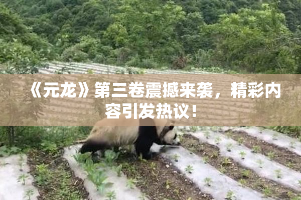 《元龙》第三卷震撼来袭，精彩内容引发热议！