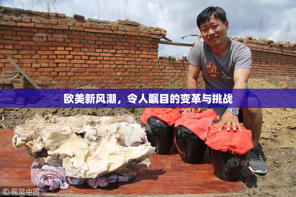 欧美新风潮，令人瞩目的变革与挑战