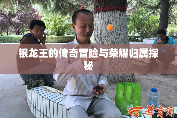 银龙王的传奇冒险与荣耀归属探秘