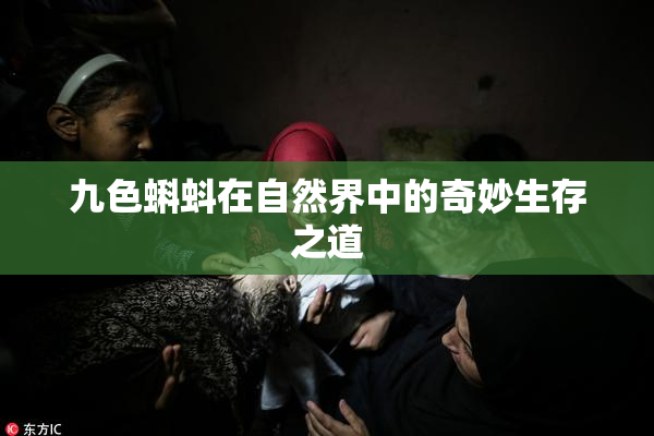 九色蝌蚪在自然界中的奇妙生存之道