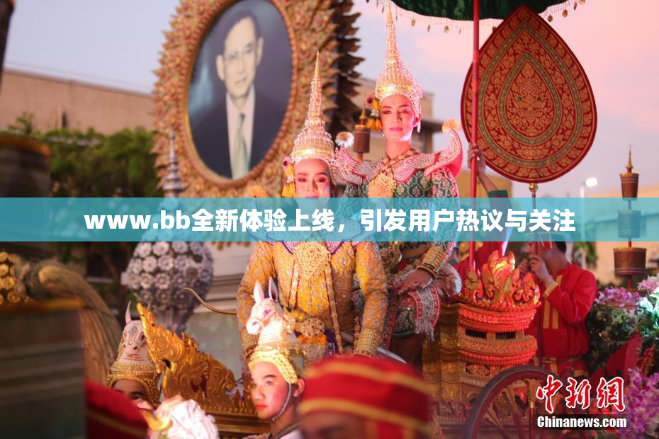 www.bb全新体验上线，引发用户热议与关注
