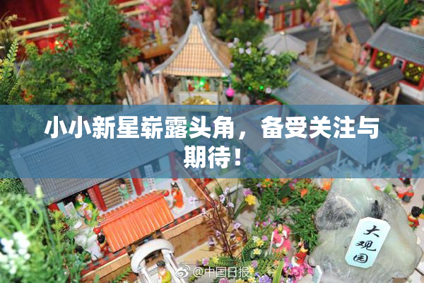 小小新星崭露头角，备受关注与期待！