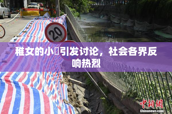 稚女的小泬引发讨论，社会各界反响热烈