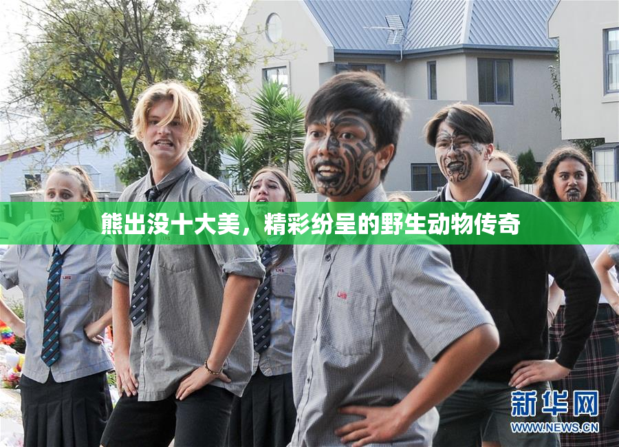 熊出没十大美，精彩纷呈的野生动物传奇