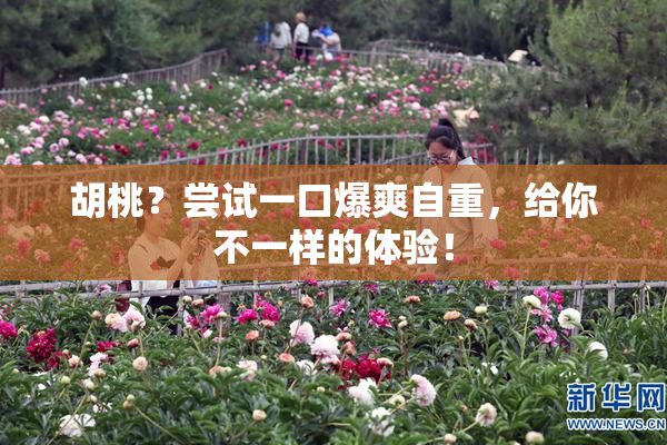 胡桃？尝试一口爆爽自重，给你不一样的体验！