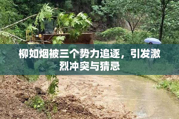 柳如烟被三个势力追逐，引发激烈冲突与猜忌