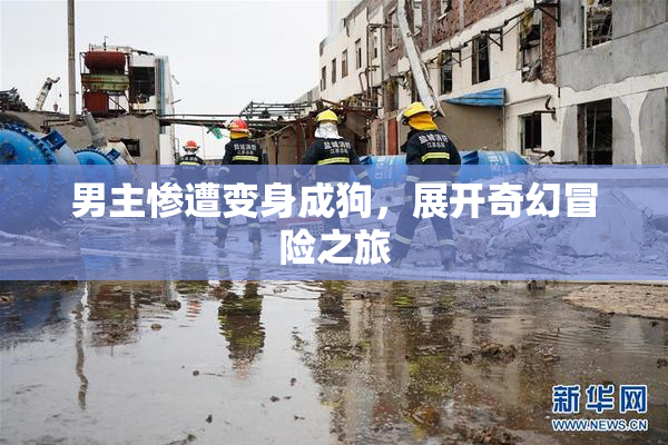 男主惨遭变身成狗，展开奇幻冒险之旅
