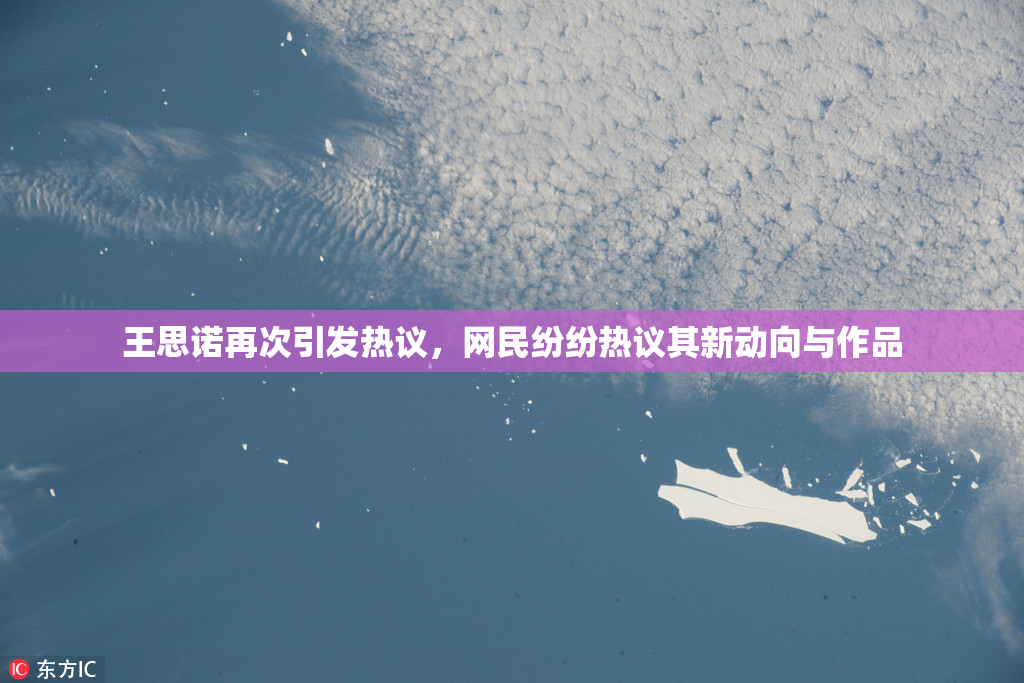 王思诺再次引发热议，网民纷纷热议其新动向与作品