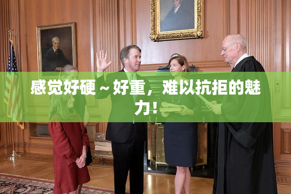 感觉好硬～好重，难以抗拒的魅力！