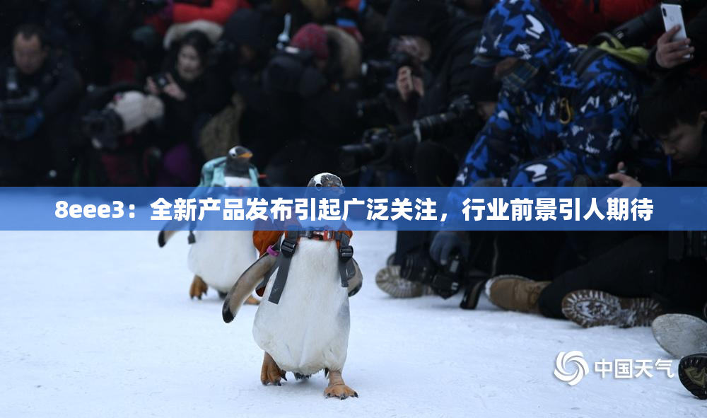 8eee3：全新产品发布引起广泛关注，行业前景引人期待