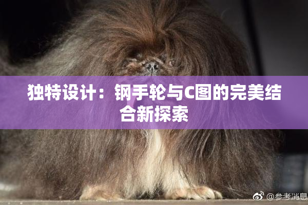 独特设计：钢手轮与C图的完美结合新探索