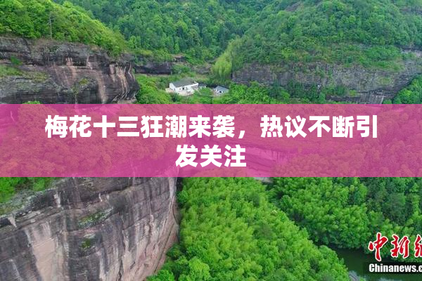 梅花十三狂潮来袭，热议不断引发关注