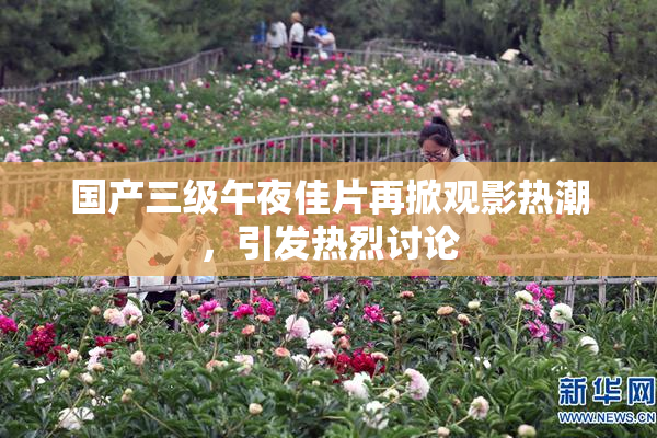 国产三级午夜佳片再掀观影热潮，引发热烈讨论