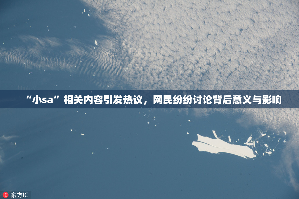 “小sa”相关内容引发热议，网民纷纷讨论背后意义与影响