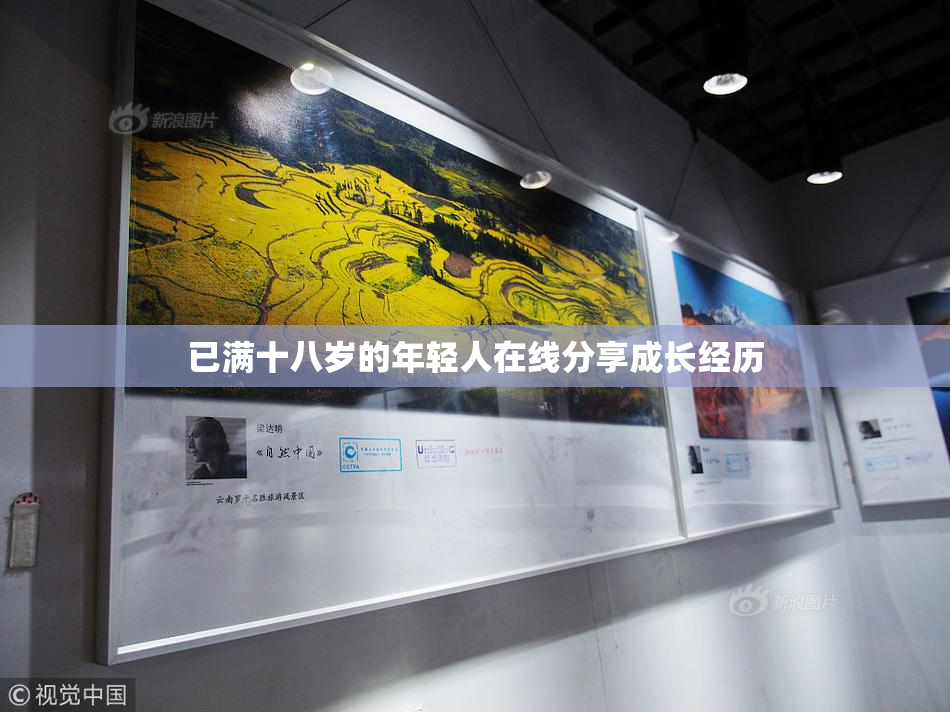 已满十八岁的年轻人在线分享成长经历