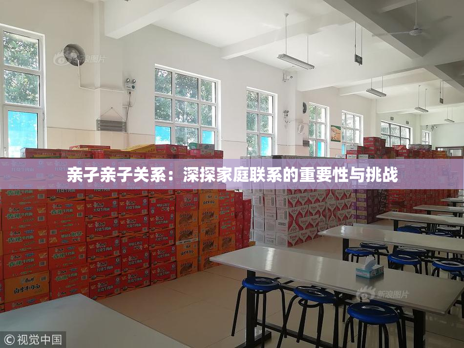 亲孑亲子关系：深探家庭联系的重要性与挑战