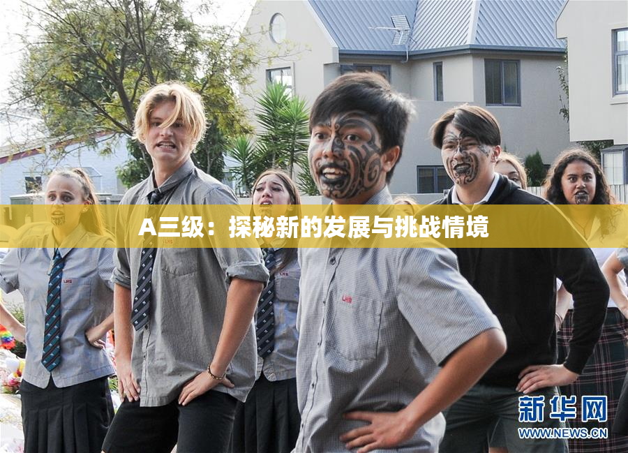 A三级：探秘新的发展与挑战情境