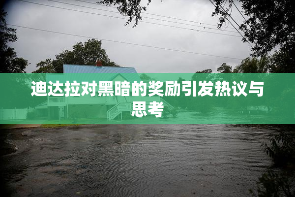 迪达拉对黑暗的奖励引发热议与思考