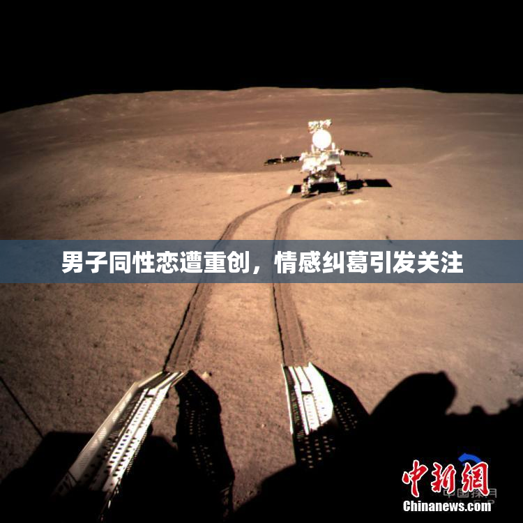 男子同性恋遭重创，情感纠葛引发关注