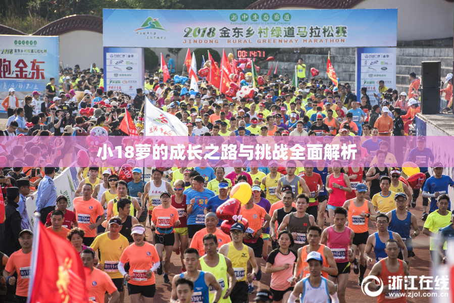 小18萝的成长之路与挑战全面解析