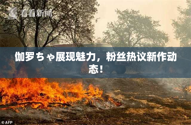 伽罗ちゃ展现魅力，粉丝热议新作动态！