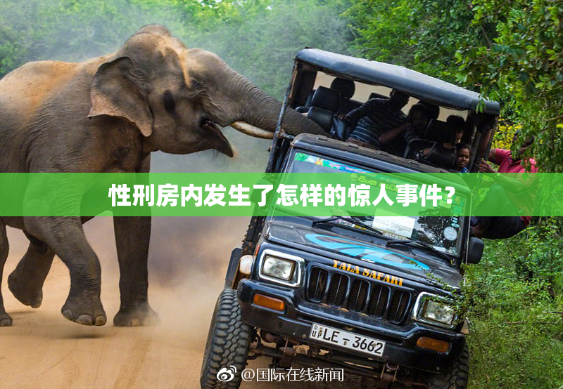 性刑房内发生了怎样的惊人事件？
