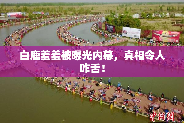 白鹿羞羞被曝光内幕，真相令人咋舌！