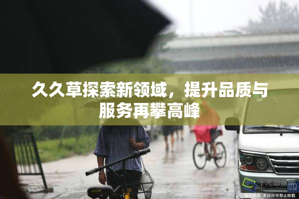 久久草探索新领域，提升品质与服务再攀高峰