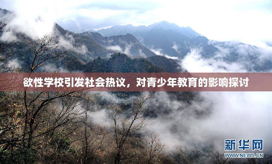 欲性学校引发社会热议，对青少年教育的影响探讨