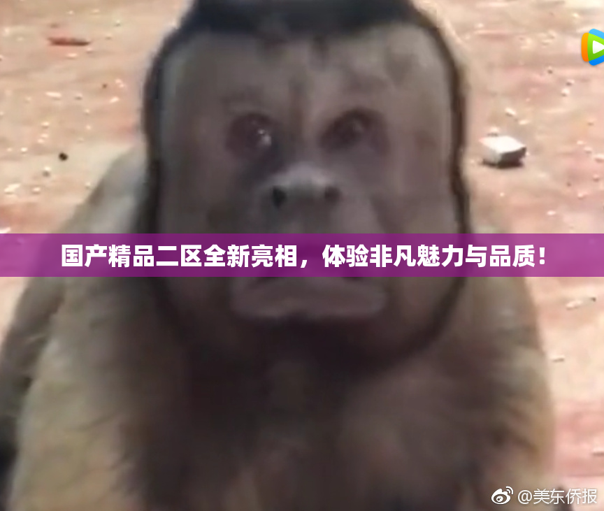 国产精品二区全新亮相，体验非凡魅力与品质！