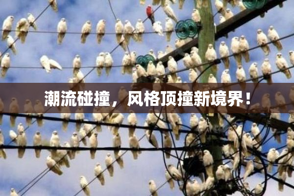 潮流碰撞，风格顶撞新境界！