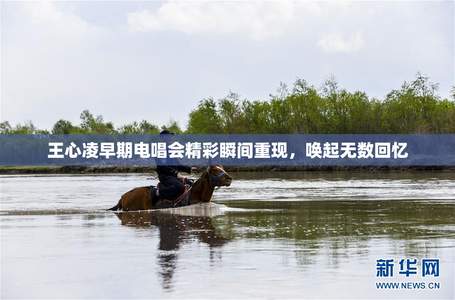 王心凌早期电唱会精彩瞬间重现，唤起无数回忆