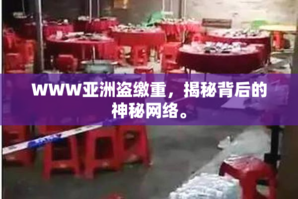WWW亚洲盗缴重，揭秘背后的神秘网络。