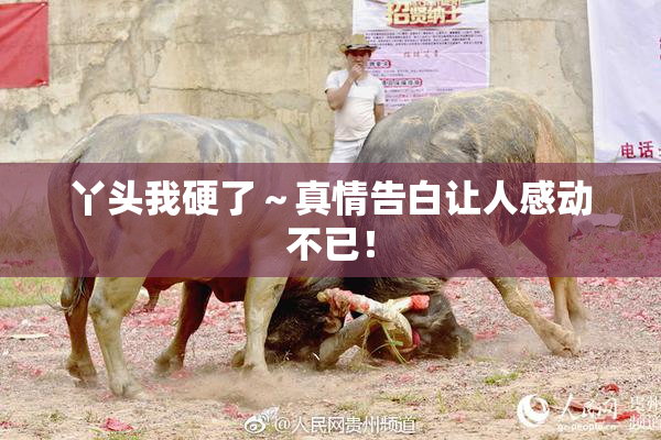 丫头我硬了～真情告白让人感动不已！