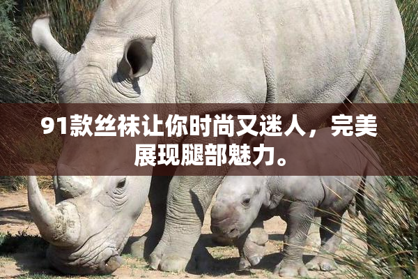 91款丝袜让你时尚又迷人，完美展现腿部魅力。