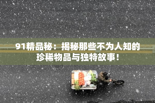 91精品秘：揭秘那些不为人知的珍稀物品与独特故事！
