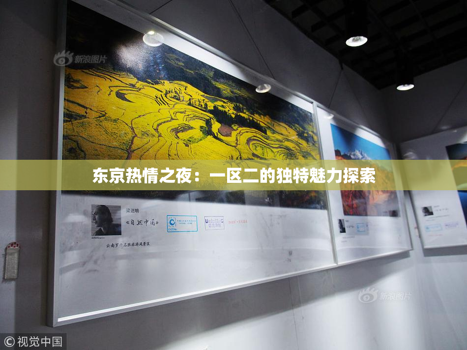 东京热情之夜：一区二的独特魅力探索