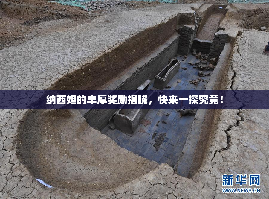 纳西妲的丰厚奖励揭晓，快来一探究竟！