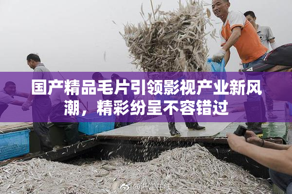 国产精品毛片引领影视产业新风潮，精彩纷呈不容错过