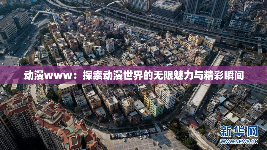 动漫www：探索动漫世界的无限魅力与精彩瞬间
