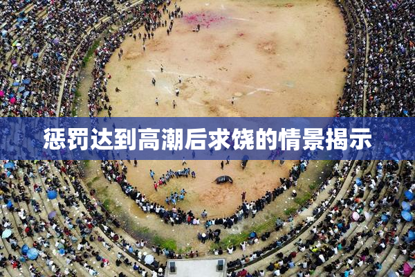 惩罚达到高潮后求饶的情景揭示
