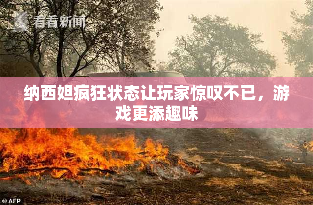 纳西妲疯狂状态让玩家惊叹不已，游戏更添趣味