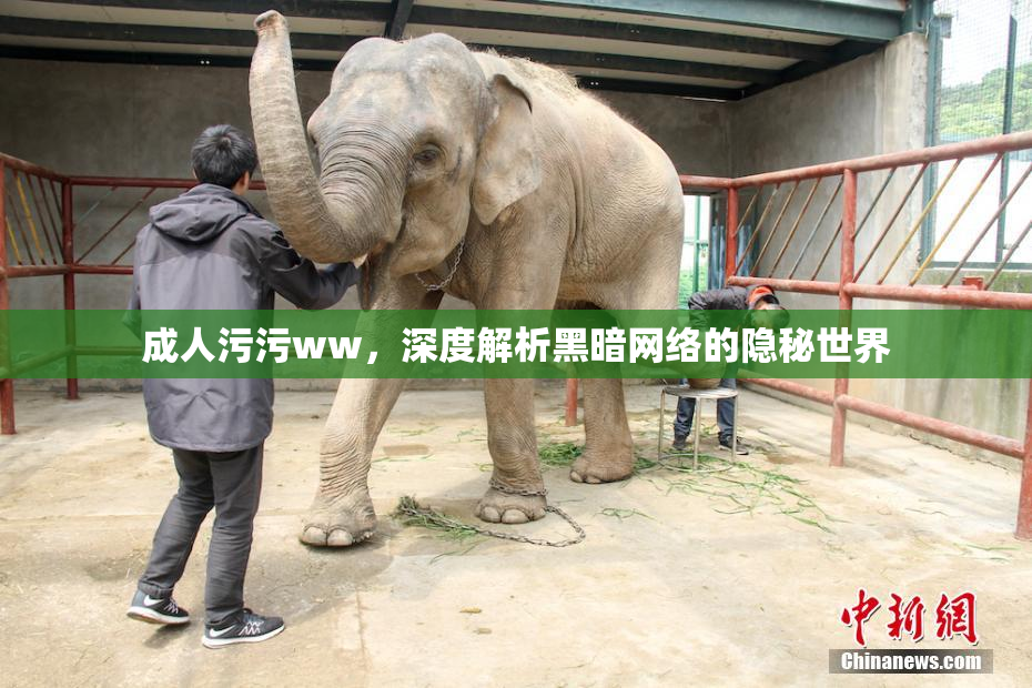 成人污污ww，深度解析黑暗网络的隐秘世界