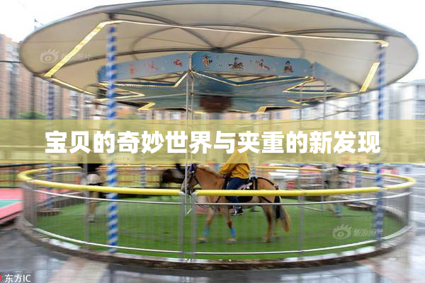 宝贝的奇妙世界与夹重的新发现