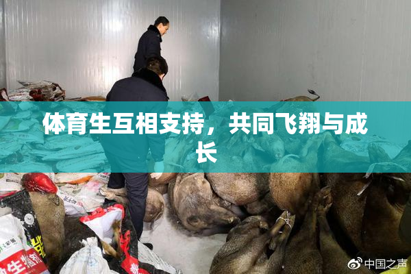 体育生互相支持，共同飞翔与成长