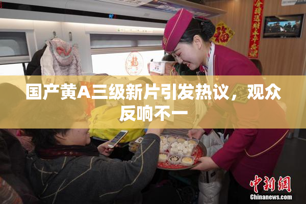 国产黄A三级新片引发热议，观众反响不一