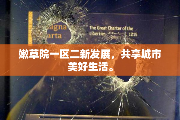 嫩草院一区二新发展，共享城市美好生活。