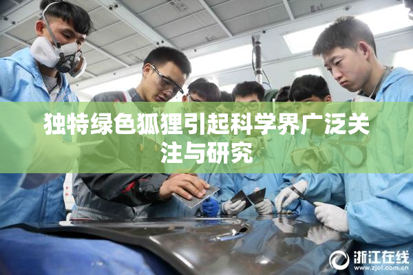 独特绿色狐狸引起科学界广泛关注与研究